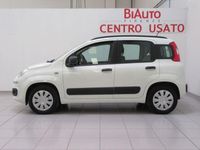 usata Fiat Panda 3ª serie 1.2 Easy