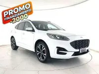 Usata Ford Kuga ST-Line X 152 CV (111 kW) 2023 Bianco pastello SUV