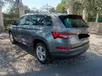 Brugt Skoda Kodiaq Executive 150 HK (110 kW) 2023 SUV