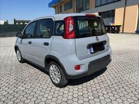 Usata Fiat Panda S 69 CV (50 kW) 2023 Utilitaria