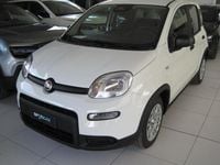 Usata Fiat Panda S 70 CV (51 kW) 2024 Bianco Utilitaria