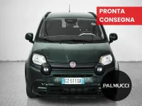 Usata Fiat Panda Cross Cross 70 CV (51 kW) 2025 Verde Utilitaria
