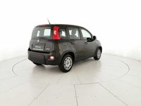 usata Fiat Panda 1.0 firefly hybrid s&s 70cv