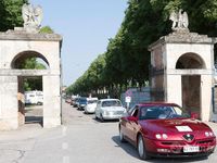 Usata Alfa Romeo GTV 1995 Rosso Coupé