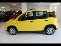 Usata Fiat Panda S 70 CV (51 kW) 2024 Giallo Utilitaria
