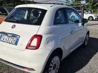 Usata Fiat 500 Lounge 69 CV (50 kW) 2019 Other Utilitaria