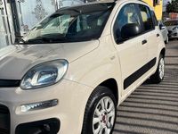 Usata Fiat Panda Lounge 84 CV (61 kW) 2013 Beige Utilitaria