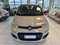 usata Fiat Panda 1.2 Easy 69cv EURO6