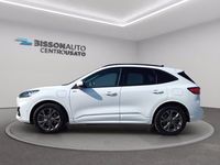 Usata Ford Kuga ST-Line X 225 CV (165 kW) 2020 Bianco SUV