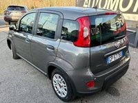 Usata Fiat Panda 69 CV (50 kW) 2023 Grigio Utilitaria