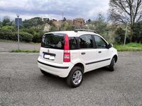 Usata Fiat Panda 4x4 69 CV (50 kW) 2010 Bianco Utilitaria