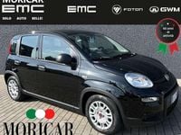 Usata Fiat Panda S 69 CV (50 kW) 2024 Nero Utilitaria