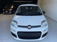 Usata Fiat Panda Icon 69 CV (50 kW) 2024 Bianco Utilitaria