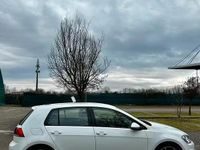Usata VW Golf VII 2014 Bianco Berlina