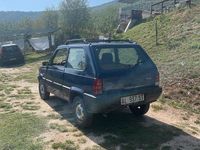 Usata Fiat Panda 4x4 54 CV (39 kW) 1996 Utilitaria