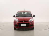 Nuova Fiat Panda 71 CV (52 kW) 2025 Rosso Utilitaria
