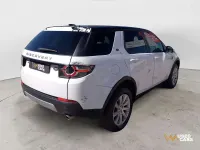 Usata Land Rover Discovery Sport HSE Luxury 188 CV (138 kW) 2015 Bianco SUV