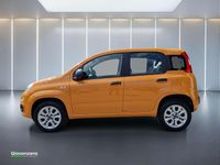 Usata Nissan X-Trail Acenta 131 CV (96 kW) 2014 Bianco SUV