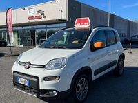 Usata Fiat Panda 4x4 Anniversary 75 CV (55 kW) 2014 Bianco Utilitaria