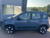 Usata Fiat Panda Cross Cross 69 CV (50 kW) 2021 Utilitaria