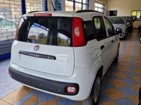 Usata Fiat Panda Easy 69 CV (50 kW) 2019 Utilitaria