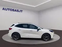 Usata Ford Kuga ST-Line 190 CV (139 kW) 2023 Bianco SUV