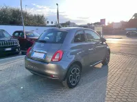 Usata Fiat 500 Club 69 CV (50 kW) 2023 Grigio pompei Utilitaria