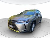 Usata Lexus UX 250h Business Edition 146 CV (107 kW) 2022 Argento SUV