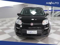 Usata Fiat Panda 70 CV (51 kW) 2024 Viola Utilitaria
