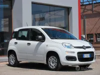 Usata Fiat Panda Easy 69 CV (50 kW) 2020 Bianco Utilitaria