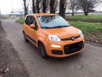 Usata Fiat Panda City Life 69 CV (50 kW) 2021 Utilitaria
