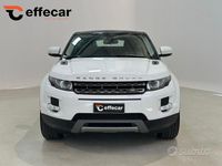 Usata Land Rover Range Rover evoque 150 CV (110 kW) 2013 Bianco SUV