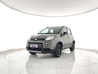 Usata Fiat Panda 4x4 Wild 86 CV (63 kW) 2022 Grigio Utilitaria