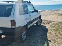Usata Fiat Panda 4x4 54 CV (39 kW) 2002 Bianco Utilitaria