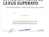 Usata Lexus UX 250h Luxury Line 184 CV (135 kW) 2019 Verde SUV