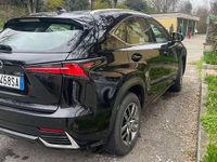 Usata Lexus NX300h Sport Line 155 CV (114 kW) 2018 SUV