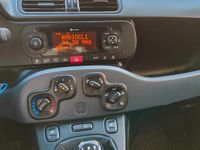 Usata Fiat Panda 4x4 S 95 CV (69 kW) 2017 Bianco Utilitaria