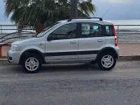Usata Fiat Panda 4x4 69 CV (50 kW) 2009 Grigio Utilitaria