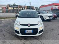 usata Fiat Panda 1.2 pop s&s 69cv my19