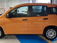 usata Fiat Panda 1.2 Lounge