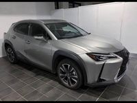 usata Lexus UX Full Electric Premium del 2020 usata a Torino