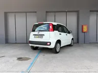 Usata Fiat Panda Easy 69 CV (50 kW) 2018 Bianco Utilitaria