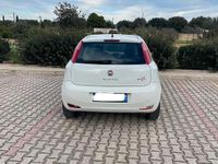 Usata Fiat Punto 75 CV (55 kW) 2015 Bianco Berlina