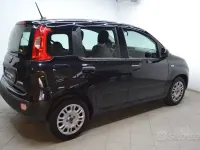 Usata Fiat Panda Easy 69 CV (50 kW) 2021 Nero Utilitaria