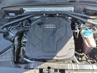 usata Audi Q5 2.0 TDI 150 CV ultra Advanced