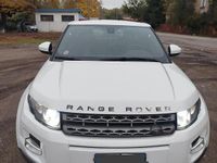 Usata Land Rover Range Rover evoque 150 CV (110 kW) 2014 Bianco SUV