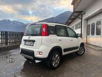 Usata Fiat Panda 4x4 86 CV (63 kW) 2014 Utilitaria