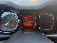 Usata Fiat Panda Pop 69 CV (50 kW) 2012 Beige Berlina