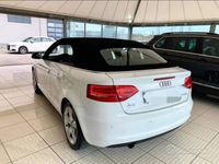 usata Audi A3 Cabriolet sline