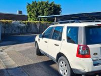 Usata Land Rover Freelander 2 2009 SUV